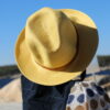 Hatt - Bilde 3